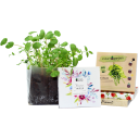 Image of Instant Garden Grow Your Own Gift Set