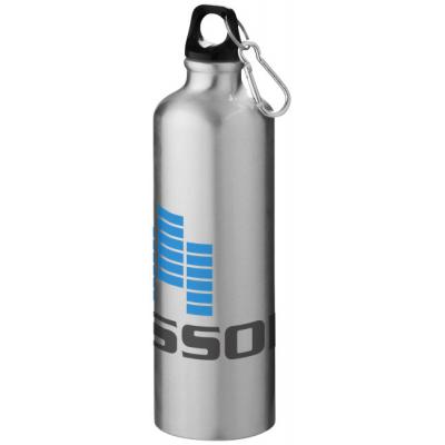 Image of Printed Pacific Aluminium Bottle With Karabiner Clip Silver