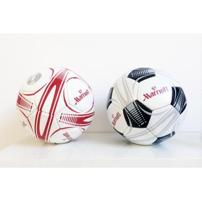 Image of Size 5 Printed Footballs