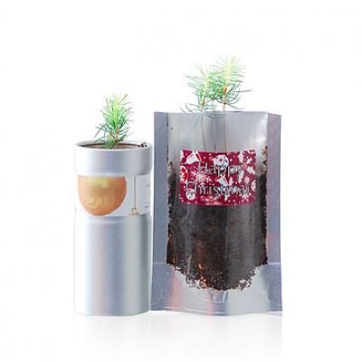 Image of Promotional Grow Your Own Christmas Tree. Printed Desk Top Xmas Tree.