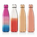 Image of Promotional Oasis Insulated Bottle With Mirror Finish