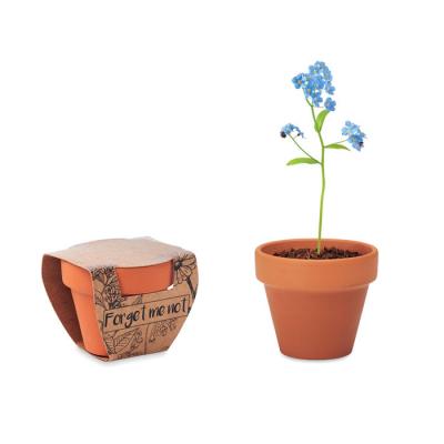 Image of Branded Terracotta Flower Pot With Forget Me Not Seeds