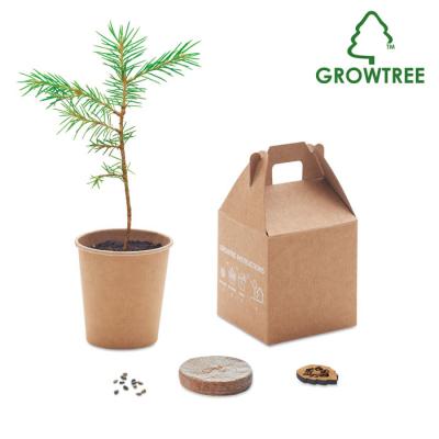 Image of Promotional GROWTREE™ Pine Seeds Growing Set In Eco Gift Box