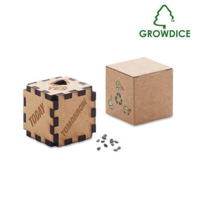 Image of Promotional GROWTREE™ Wooden Dice With Infused Pine Seeds For Growing Your Own Tree