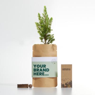 Image of Promotional Grow Your Own Christmas Tree In Eco Kraft Pouch