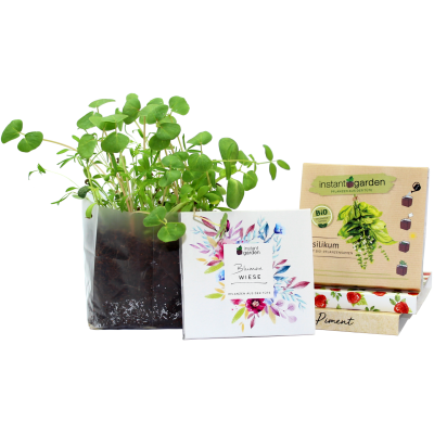 Image of Instant Garden Grow Your Own Gift Set