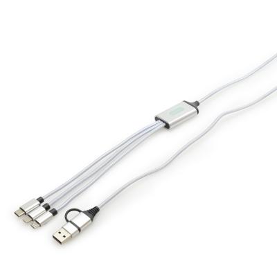 Image of 6 in 1 Light Up Charging Cable