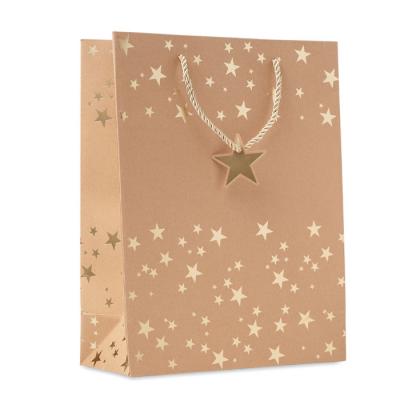 Image of Sparkle Paper Gift Bag with Gold Stars