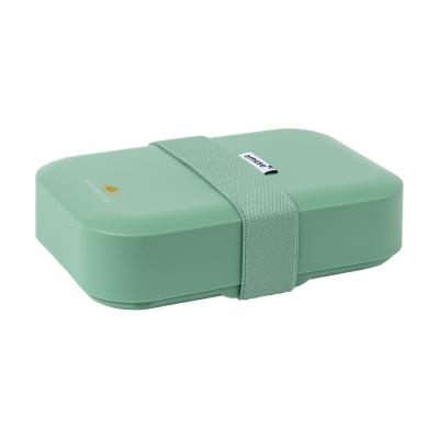 Image of Amuse Classic Lunchbox Medium