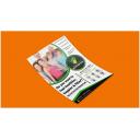 Image of Flyer A3 Single Side Printed 115gsm Silk