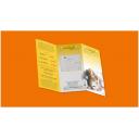 Image of Printed Leaflets Folded A4 Uncoated